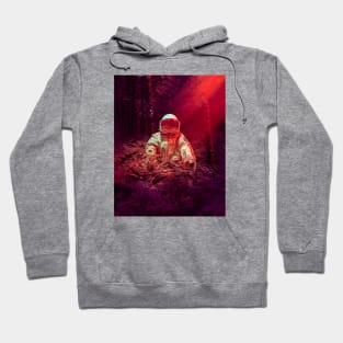 Forestal II Hoodie